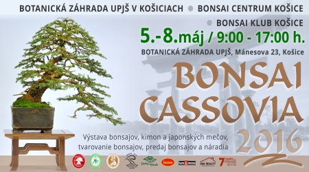 bonsai-cassovia-2016