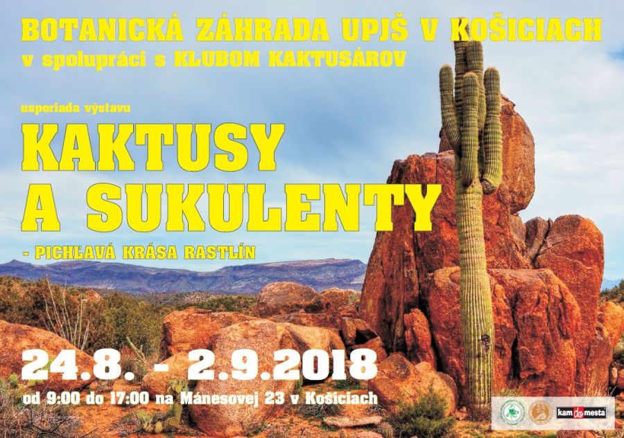 kaktusy-2018