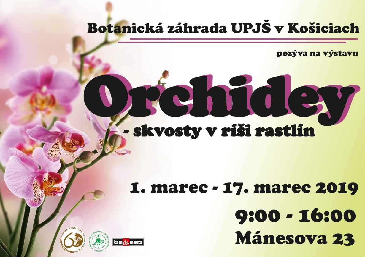 orchidey-2019